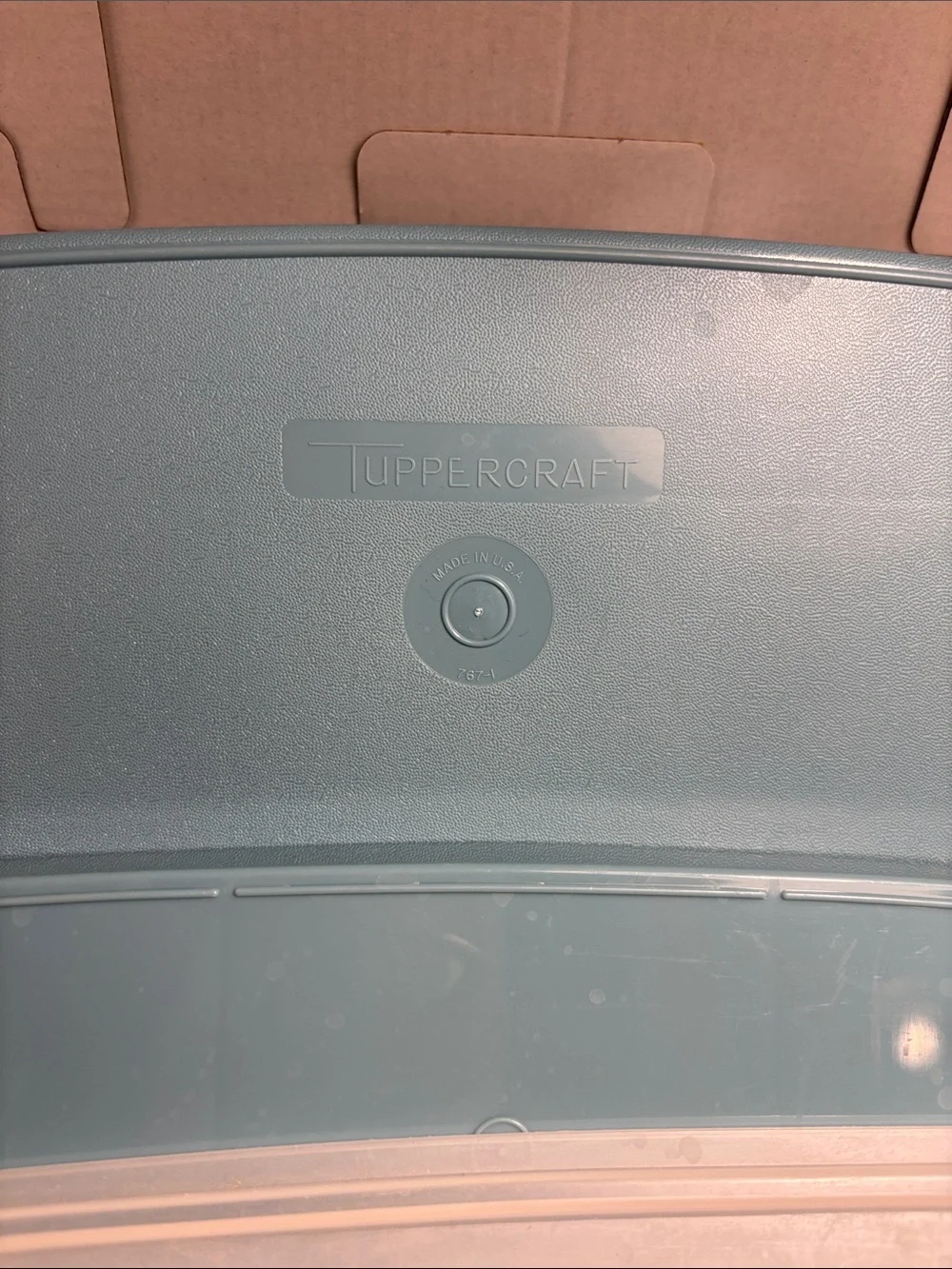 Tupperware Teal Divided Snack Tray with Clear Lid